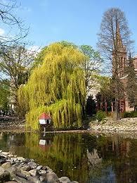 Park Kazimierza Wielkiego w Bydgoszczy